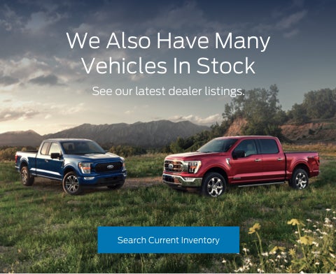 Ford vehicles in stock | Wolf Auto Ogallala, LLC in Ogallala NE
